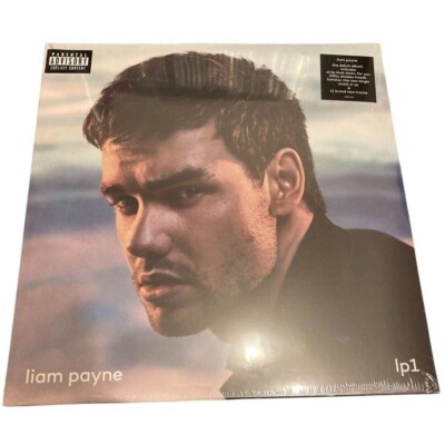 Liam Payne LP1 LP Record 12inch Analog From JAPAN