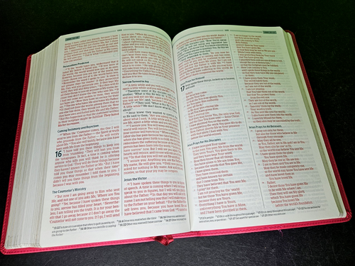 HCSB - Compact Ultrathin Bible for Teens, Pink Rose LeatherTouch, 2015 Holman - Foto 7 di 15