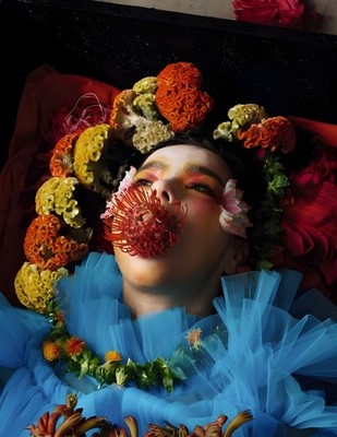 11x15 Bjork Utopia Poster Photography