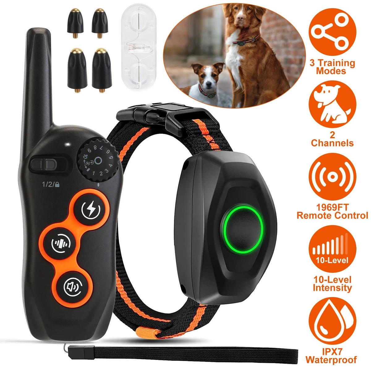 Used dog 2025 shock collar