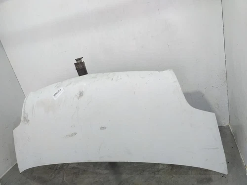 9121273 Capo para OPEL MOVANO FURGÓN/COMBI 2007 8691896 - Imagen 3 de 10