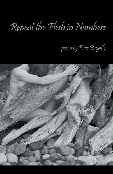 Kris Bigalk | Repeat The Flesh In Numbers | Taschenbuch | Englisch (2012)-image