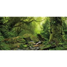 Forest Green Tree Terrarium Backdrop Reptile Habitat Background 72x24 in