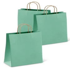 Kraft Paper Bag Party Shopping Gift Bags with Handles - All Color/Size