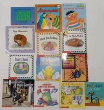 Lot of 13 Assorted Readers - Scholastic, Sesame Street, etc. (1987-2016)