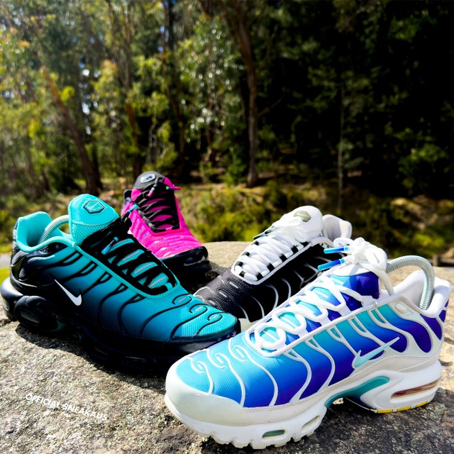 SNEAKER COLLECTION