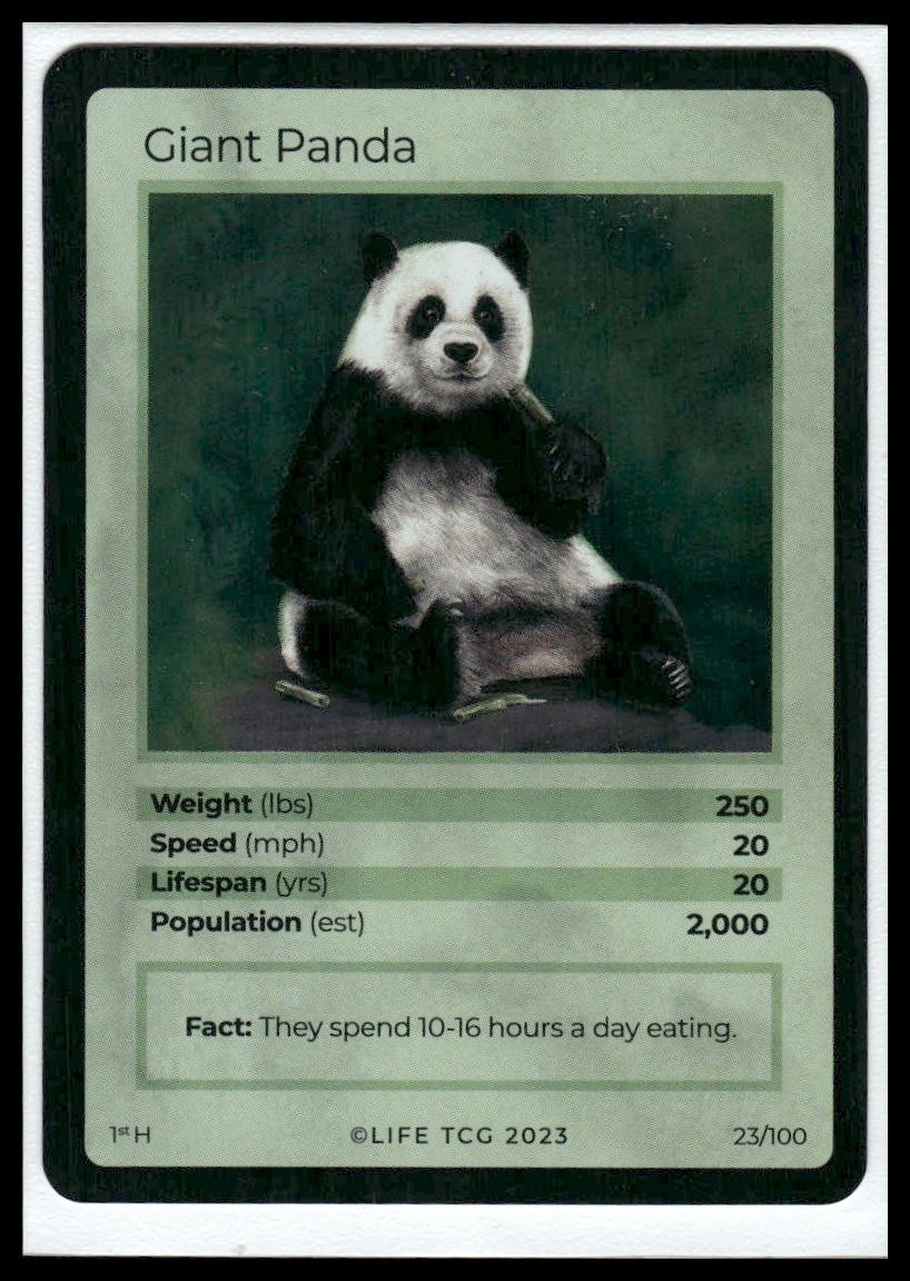 パンダページ Life TCG Holo Giant Panda #23/100 Near Mint | eBay