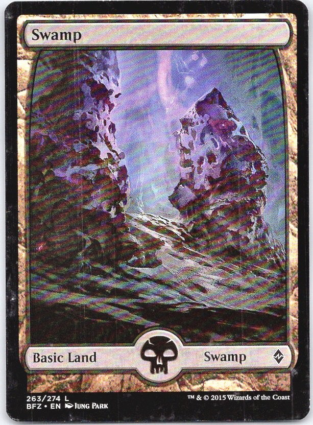 Swamp - Battle for Zendikar (NM) 263/274 Park (2)