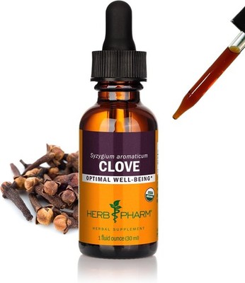Herb Pharm Certified Organic Clove Extract 1 Oz FREE SHIPPING