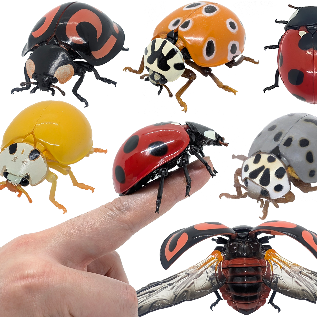 Bandai Gashapon Ladybug Figure 2.2 inch Big Ladybird Beetle from