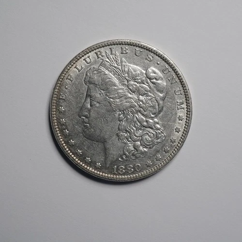 1880-P Morgan Silver Dollar VF+ | Original Toning | .99 No Reserve Auction