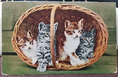 vintage 1cnt Postcard Kittens #2674 In Basket Edward H Mitchell San Francsico CA