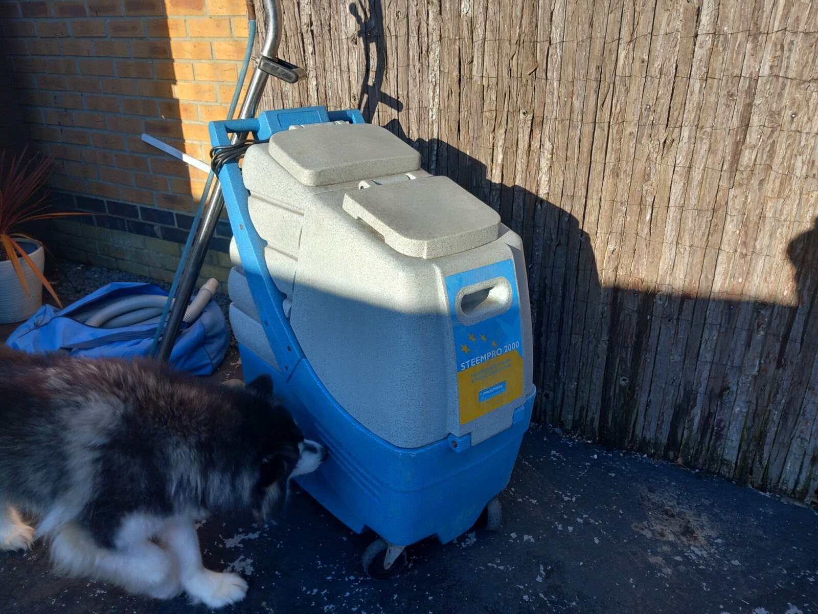 carpet cleaning machine