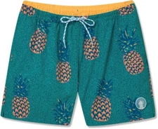 Chubbies Swim Trunks Mens Large Green Runaways Bathing Suit Shorts 5.5"