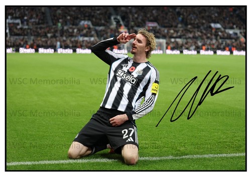 11990. Nick Woltemade Signed Pictures A4 Prints Newcastle Germany Stuttgart etc.