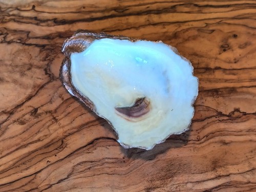 Florida Beauty: Rose Gold Oyster Shell Ring Dish - A Chic Coastal Decor Gift - Picture 4 of 10
