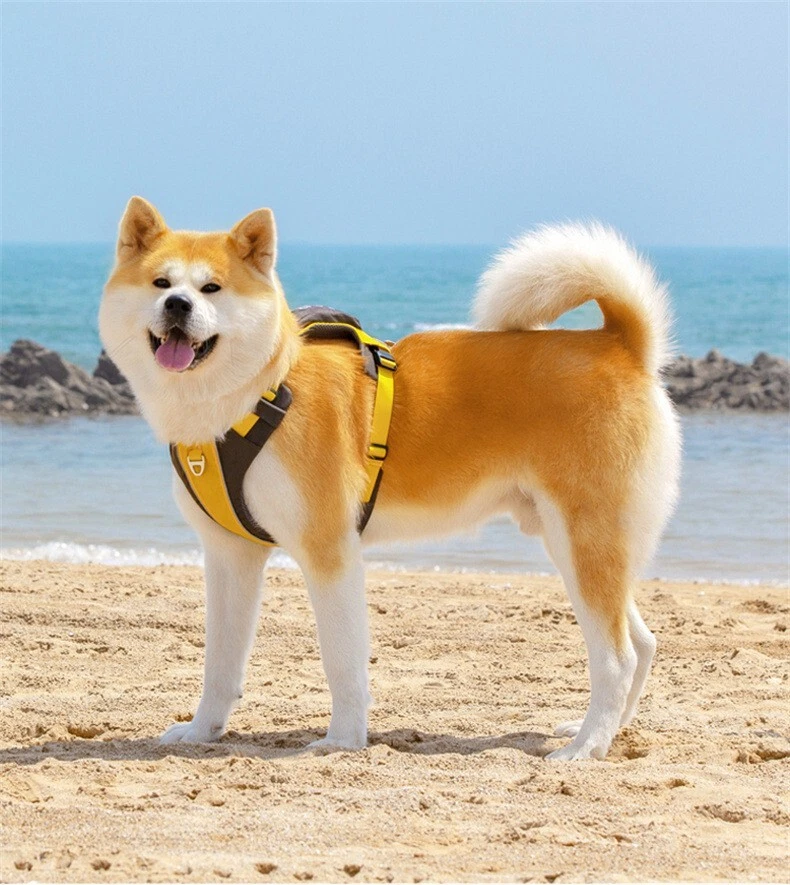 Dog Harness with Leash Set, No Pull Adjustable Reflective Step Puppy Harness.