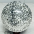 Natural Insectconch fossil crystal Ball Quartz Crystal Sphere Reiki Healing2400G — photo 2