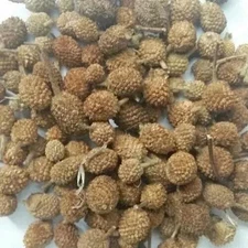 Natural Gorakhmundi Gorakh mundi Gorakmundi Sphaeranthus Hirtus Dried seeds