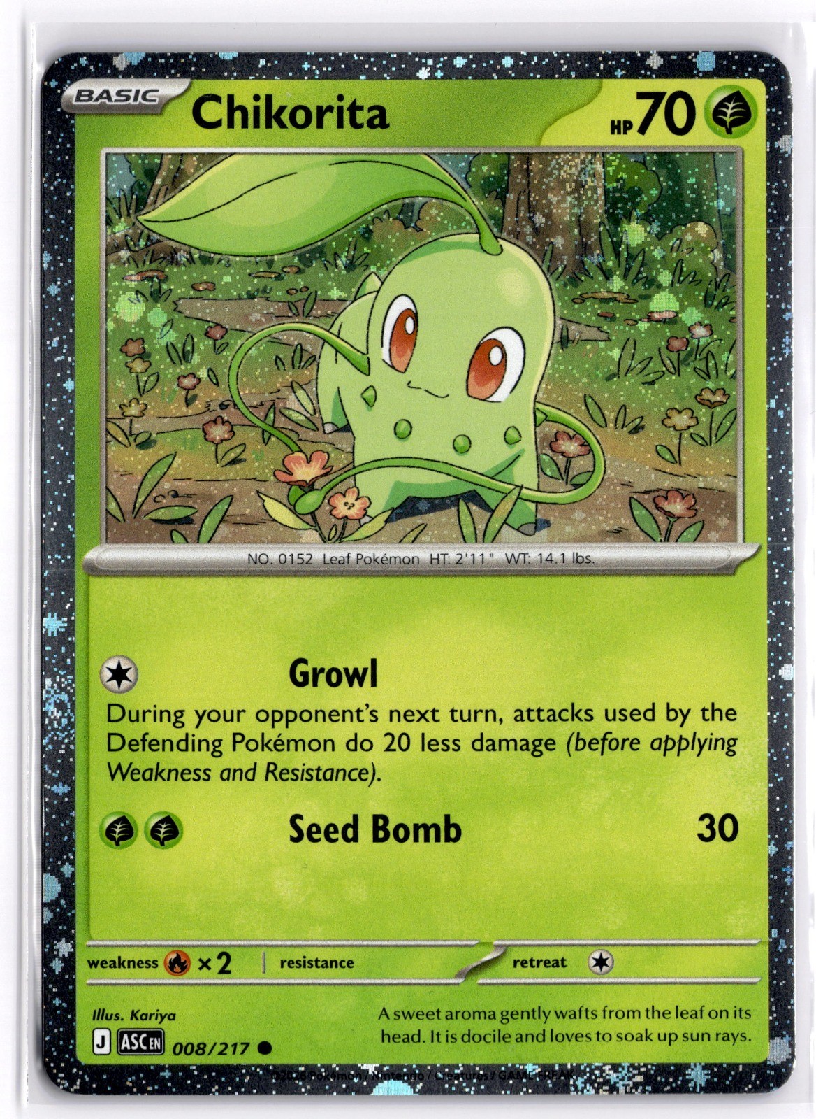 Pokemon TCG Chikorita (Cosmos Holo) 008/217 Miscellaneous Cards & Products NM