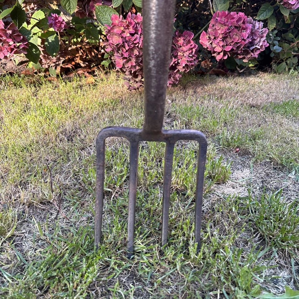 Horquilla de borde de jardinería Foto 2 de 4