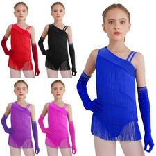 Kids Girls Leotard Practice Dancewear Tango Costume Christmas Dress Tiered Mesh