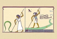 Stampa poster Apap John Gardner Wilkinson