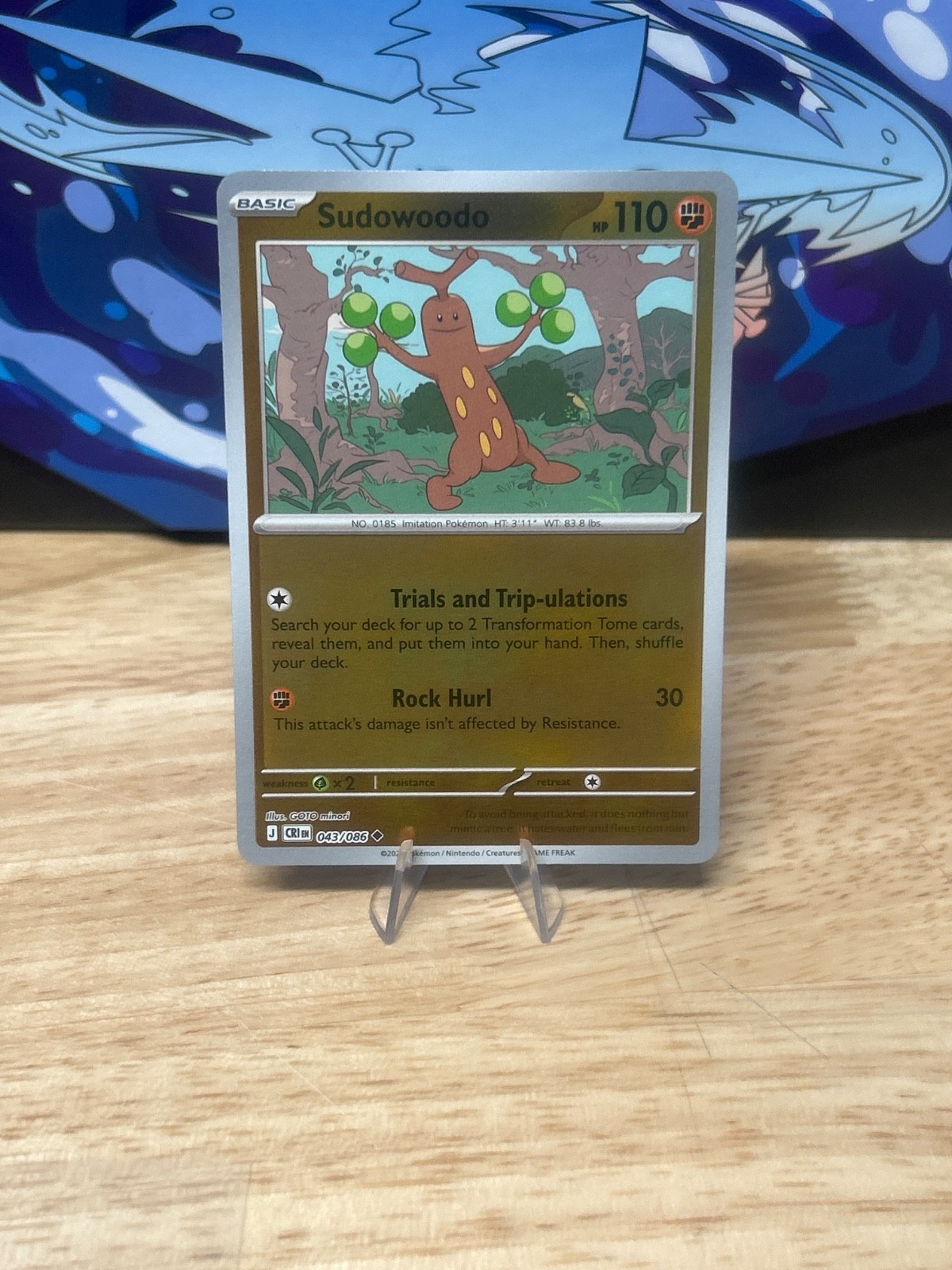 Pokemon Chaos Rising. Choose Your Own Cards