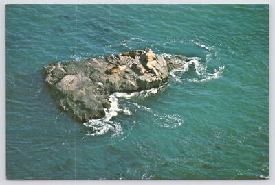 Point Reyes Seashore CA~Air View Sea Lions On Sea Lion Rock~Continental Postcard
