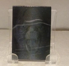 NEW Memo Pads - 3-D  - Panther -  Royce 