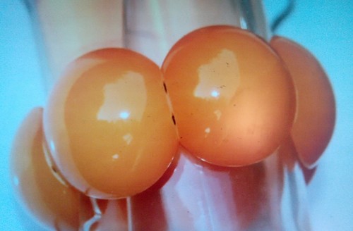 VINTAGE GORGEOUS DECO BUTTERSCOTCH BAKELITE BRACELET yolk BAKELITE TEST - Picture 2 of 9