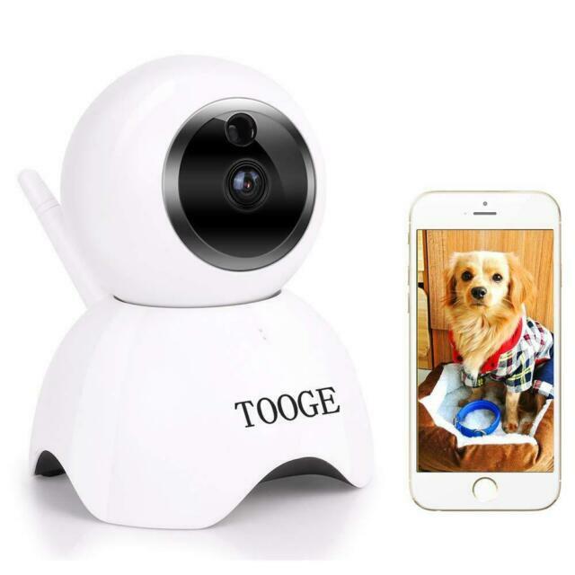 ebay dog camera