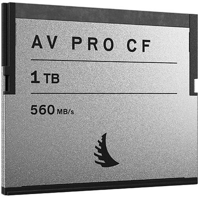 Hard to find @ this price! - Angel Bird  1 TB AV Pro CF 2.0