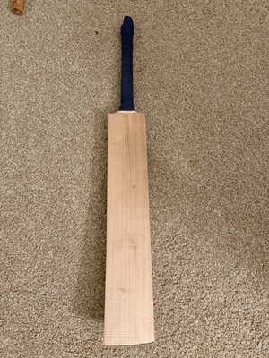 DSC Grade 1 Bat