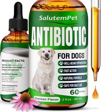 Dog Antibiotics for Infections, Cough, Itching Natural Antibiotics for Do...