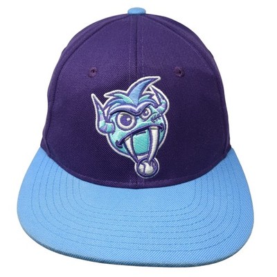 FCA Snapback Hat Multicolor One Size Embroidered Logo Flat Brim