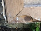 Foto 9 di 12