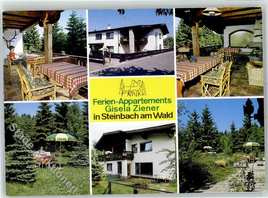 Gisela Ziener Ferienappartements - Steinbach am Wald