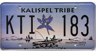 99 CENT SALE KALISPEL TRIBE Washington License Plate #KTI 183 No Reserve