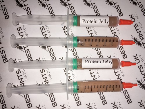 Live Queen Ant Food Jelly Harvester Ants Organic Seeds Mix Protein Best Ants UK - Picture 8 of 15