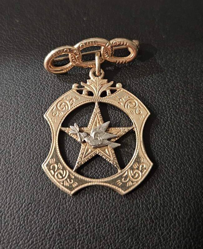 Odd Fellows Daughters of Rebekah 10k Gold 5.3 Grams Pin Brooch Not Scrap