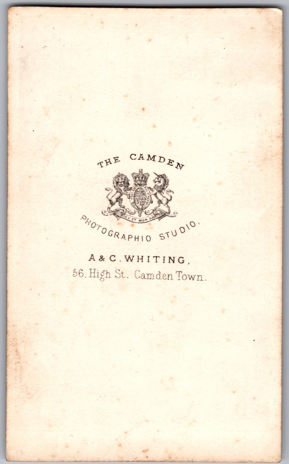 Antique CDV Circa 1860s A. & C. Whiting Lady in Dress Camden England — additional view