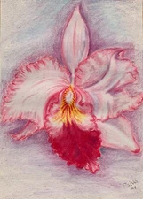 Paiva (20/21th Century, Portuguese) Expressionism Original Drawing Painting