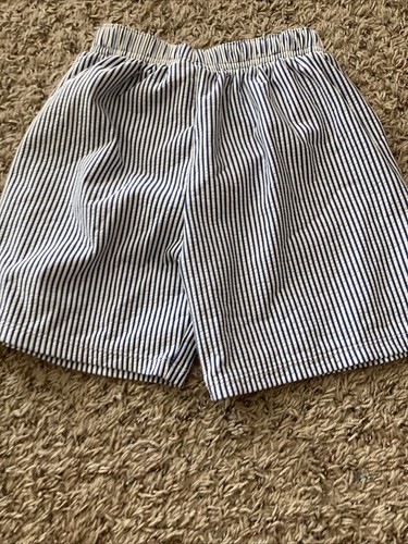 Wild About Me Blanks Boutique Boys Size 4T Seersucker Swim Trunks Lot Of 2 - Picture 15 of 16