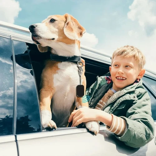 Mini GPS Tracker Auto Fahrzeug Kinder Hunde Tracker Echtzeit-TrackingWasserdicht - Bild 13 von 14