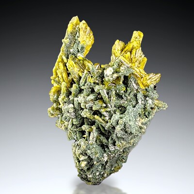 Green spray epidote crystal with tree shape structure  from Pakistan, 9 gram