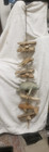 Hanging Coastal Seashells Driftwood Manatee Mobile Seaside Decor 48"