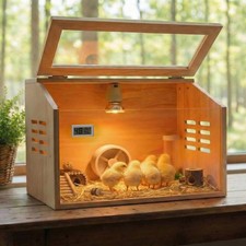 Brooder Box for Chicks Thick Wooden Chicken Brooder Box with Pre-Drilled Holes,