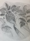 Picture 4 of 6