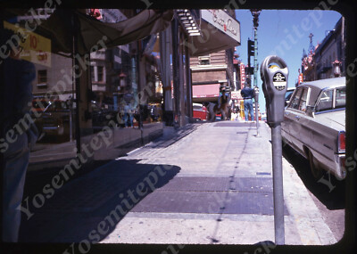 sl83 Original slide  1969  San Francisco city street huge st bernard dog 953a